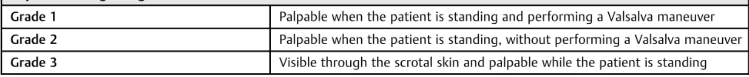 Fig. 1 Gray-scale ultrasound in a 14-year-old boy being evaluated for a left varicocele