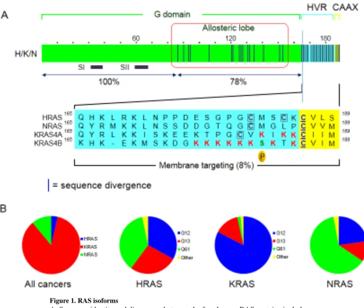 Figure 1. RAS isoforms