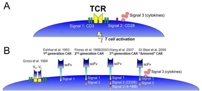 Figure  1.1:  Chimeric  antigen  receptor  (CAR)  evolution.  (A)  Schematic  of  T  cell  receptor  (TCR)  signaling, which requires signal 1 (TCR engagement with its cognate peptide presented on MHC), signal 2  (co-stimulation by CD28, 4-1BB, or other co