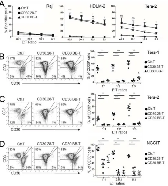 Figure 2.2: CD30.CAR-Ts exhibit cytotoxic activity against EC cell lines in vitro. (A)  51 Cr release  assay of control T cells (Ctr.T), CD30.28-Ts and CD30.BB-Ts against tumor cell lines indicated (mean ±  SEM, n = 4 donors)