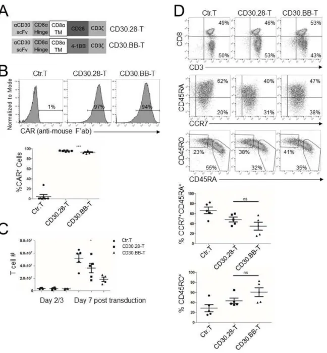 Figure 2.S1: CD30.CAR-T characteristics. (A) Schematic of CD30.CARs encoding either the CD28  (CD30.28-T) or the 4-1BB (CD30.BB-T) endodomains