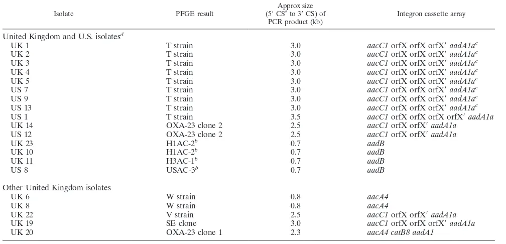 TABLE 2. Class 1 integrons found in isolatesa