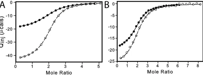 Figure 10 Global fits of paired titrations with multiple protein or multiple dUMP concentrations at 25 °C to  the modified general binding model