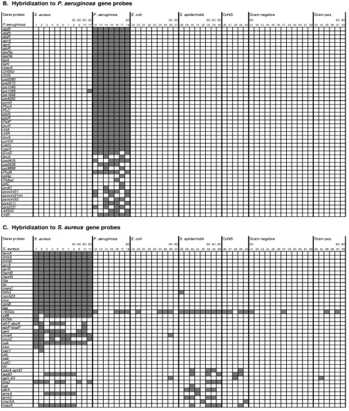 FIG. 2—Continued.
