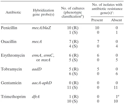 TABLE 2. Correlation between phenotypic and genotypic antibioticresistance for 11 S. aureus isolates and blood cultures
