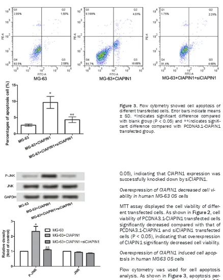 Figure 3. Flow cytometry showed cell apoptosis of cant difference compared with PCDNA3.1-CIAPIN1 different transfected cells