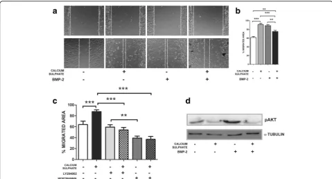 Fig. 5 CaSO4 effects on Osterix, Alpl, and Osteocalcin gene expression. MSCs were cultured with different CaSO4 concentrations (3–10 mM) andOsterix, Alpl, and Osteocalcin expression evaluated after 1, 4, and 10 days