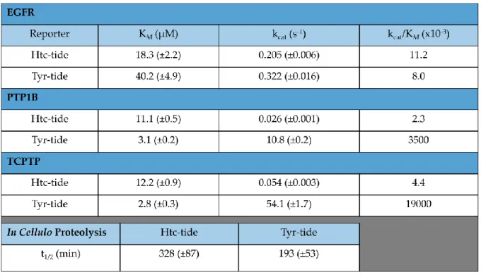 Table 3. In vitro Kinetic Parameters 