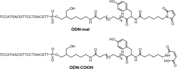 Figure  2.2.    Chemical  structures  of  the  modified  ODN  synthesized for the study