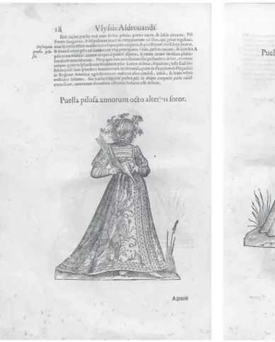 Fig.  1.  Anonimo,  Antonietta,  xilografia,  in  U.  Aldrovandi,  Monstrorum historia, p