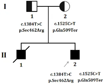 Figure 1: Pedigree. The filled symbol indicates the affected individual (Proband), half-filled symbol belongs to carrier of the heterozygous mutation without having disease phenotype (unaffected parents), square represents male and circles female