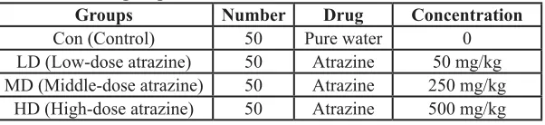 Table 1: Animal groups