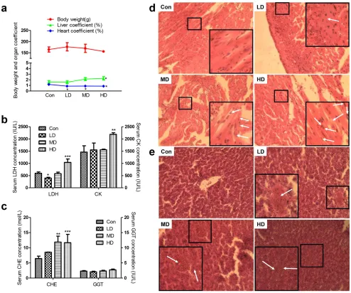 Figure 1: Effects of atrazine on the organ coefficient, biochemical analysis and histopathological in quail heart and liver