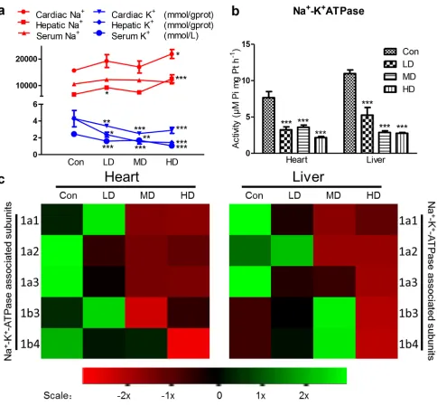 Figure 2: Effects of atrazine on the modulation of K+ transfer channel. a. The Na+, K+ content in heart, liver and serum; b