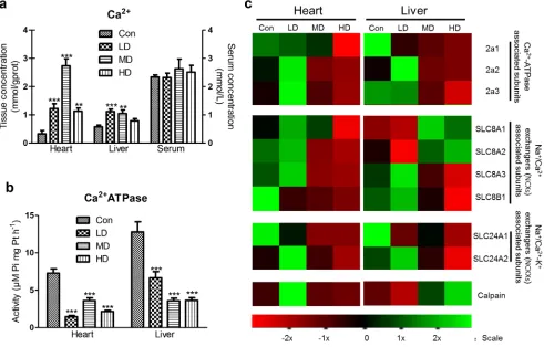 Figure 3: Effects of atrazine on the modulation of Ca2+ transfer channel. a. The Ca2+ content in heart, liver and serum; b