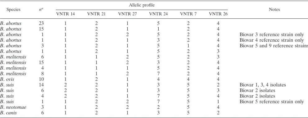 TABLE 7. Species-speciﬁc allelic proﬁles generated for 121 Brucella isolates using the six longer VNTR loci demonstrating that use of theseloci in isolation provides an assay that should place an isolate within one of the classically recognized Brucella species