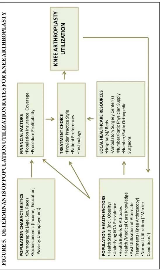 FIGURE 5.  DETERMINANTS OF POPULATION UTILIZATION RATES FOR KNEEARTHROPLASTY