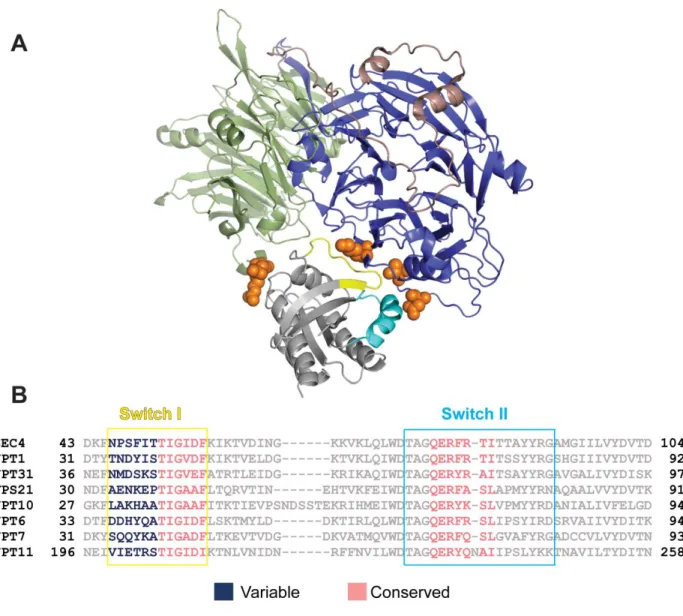 Figure 2.6 - Sec4 effector specificity for Sro7 interaction is attributed to the Sec4 N- N-terminal half of the Switch I domain