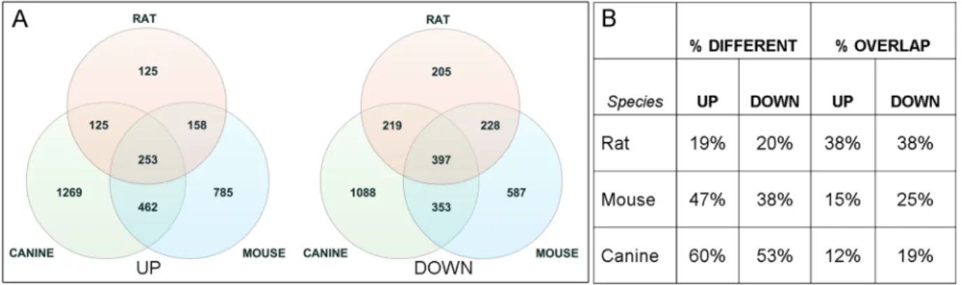 Figure 3.  Differential gene expression in PDGFRA-overexpressing human glioma. (A) PDGFRA expression  levels in normal brain and tumor samples derived from publicly available GTEx and TCGA gene expression  data plotted as box and whisker plots