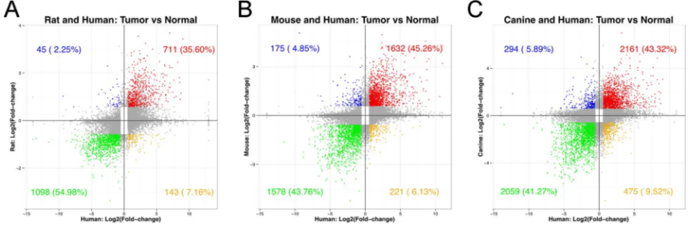 Figure 5.  Four-species DEG Venn diagrams and data summary table. (A) Relative overlap of increased  (UP) and decreased (DOWN) differentially expressed genes in rat, mouse, canine and human  PDGFRA-overexpressing glioma