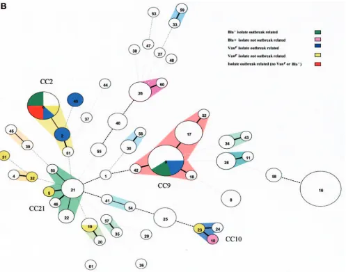 FIG. 2—Continued.
