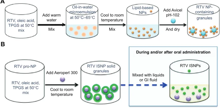 Figure 1 The illustration of nanoformulation preparation and the formation of IsNPs.Notes: (A) rTV NP-containing granules prepared by a microemulsion-precursor method