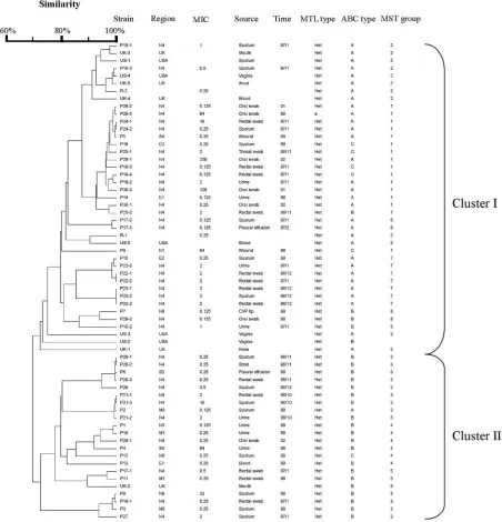 FIG. 1. Dendrogram indicating the similarities of 63 C. albicans isolates determined by MLST with 7 gene fragments.
