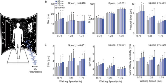Figure 1. (A) Subjects walked in an immersive virtual environment while watching a hallway with and without  continuous mediolateral optical flow perturbations