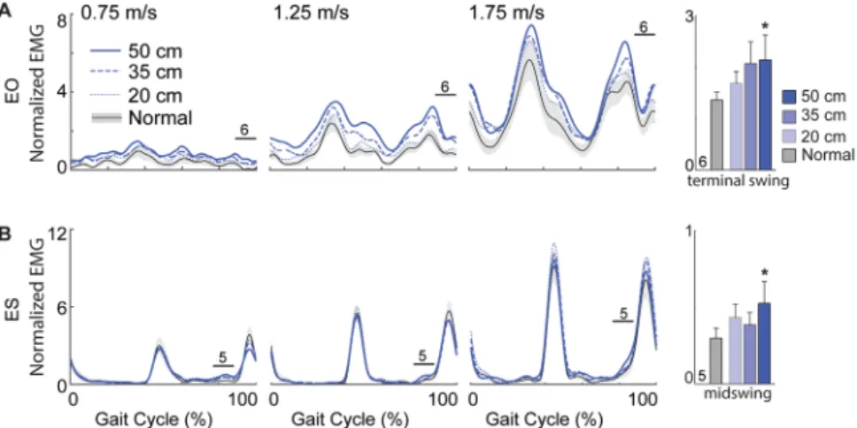 Figure 4.  Perturbation-induced changes in postural control muscle activities. Group average 
