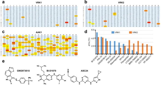Figure 2.  DSF screening identified few hit compounds for active VRKs. Heat maps showing DSF screening  data for (a) VRK1, (b) VRK2 and (c) AAK1 (included for comparison) versus a 378-compound library of  cell-permeable, bioactive kinase inhibitors