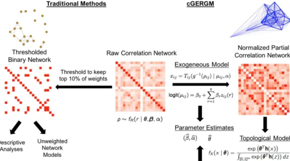 Figure 2.  A flowchart describing the means of analyzing functional connectivity data
