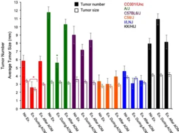 Figure 2.  AOM 1–Effects of strain and exercise condition on tumor number and size (mm)