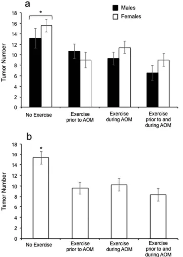 Figure 3.  AOM 2, 3–Effects of sex and exercise condition on tumor number in A/J mice