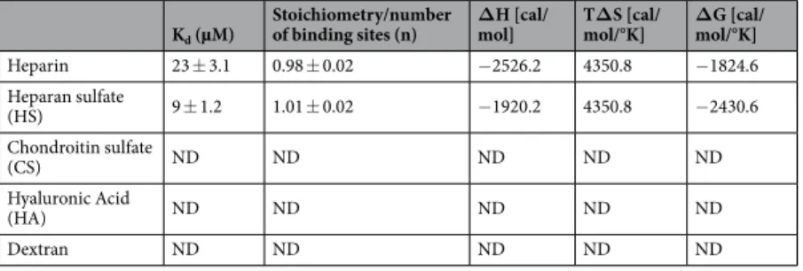 Table 1.  Binding parameters of various GAGs interacting with IL-12 derived from ITC analysis