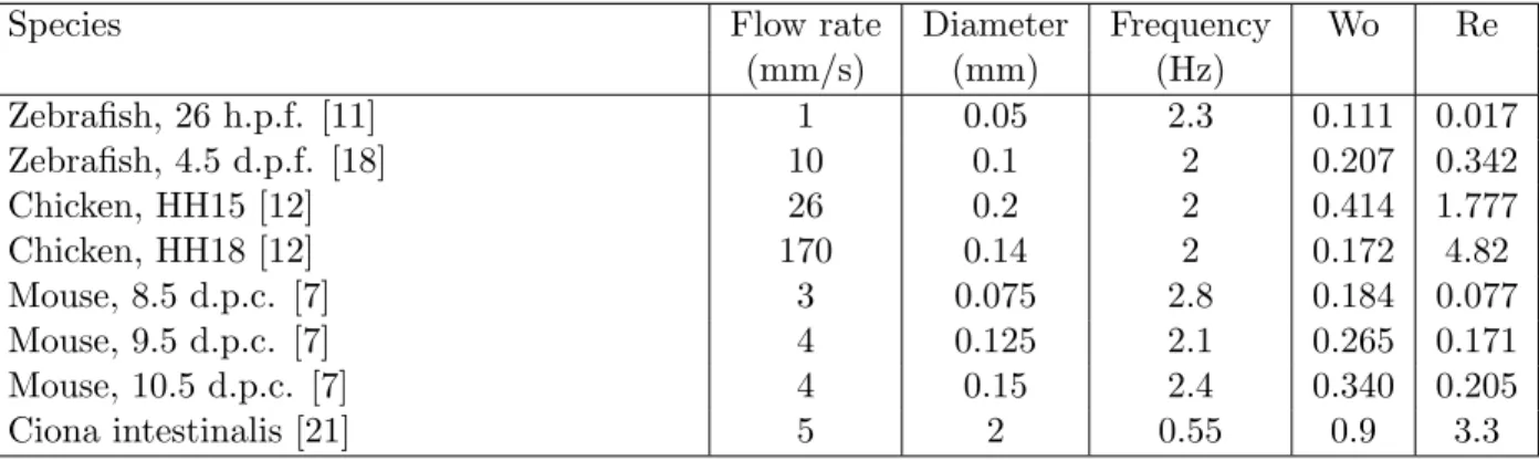 Table 2.1: Tubular heart parameters. Here d.p.f stands for days post fertilization, HH represents the Hambuger-Hamilton stage of chicken embryo development, and d.p.c
