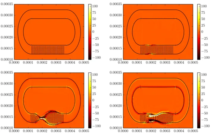 Figure 3.3.6: All images were taken from a dynamic suction pumping simulation with W o = 10.