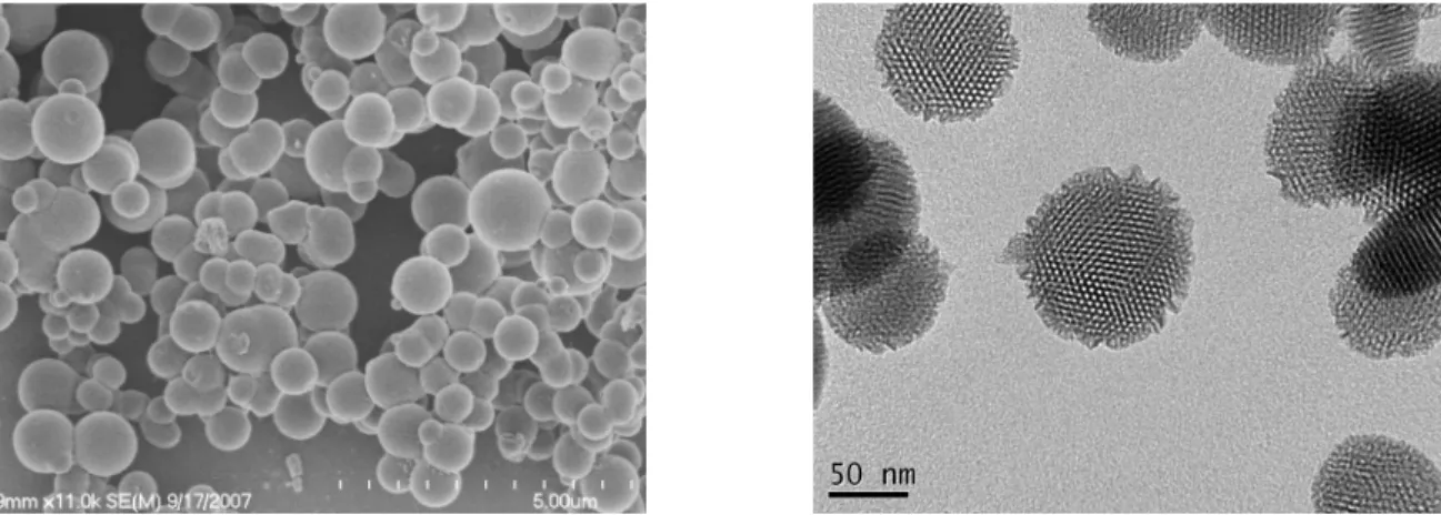 Figure 3.3 (a) Representative SEM image of a showing the particles range from 300 µm to 1  µm in diameter in this batch; (b) TEM image of c showing the unidirectional array of  two-dimensional channels