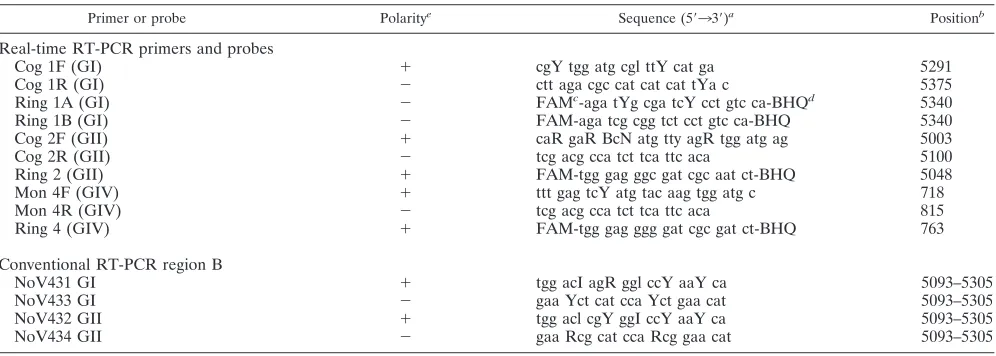 TABLE 1. Primer and probe oligonucleotides used for real-time quantitative RT-PCR for genogroups I, II, and IV and primers for region B