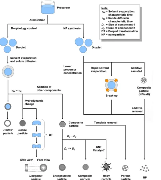 Figure 1.8 Particle engineering with spray drying. Preparation of multiple particle 