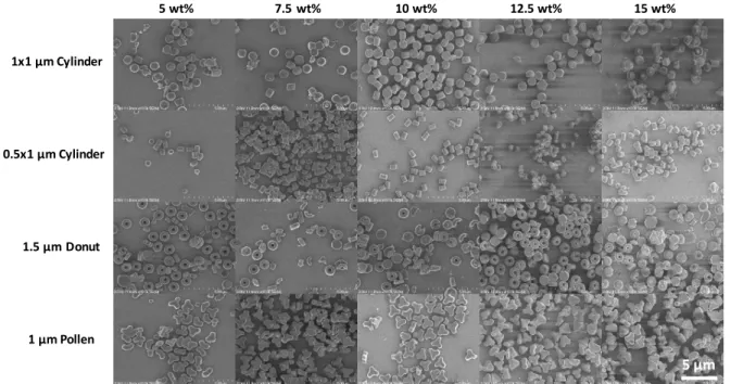 Figure 3.3 Formulation optimization of lysozyme particle shapes. SEM images at 10k 