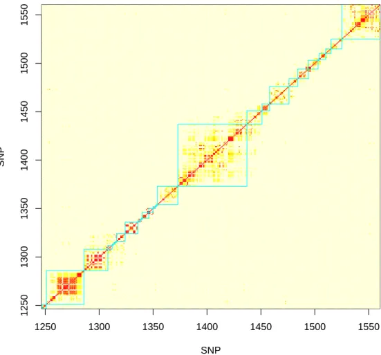 Figure 1.3. The LD Block Algorithm Applied to Several Hundred SNPs on Chromo- Chromo-some 22 for the CF Data
