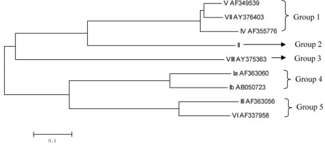FIG. 2. A phylogenetic tree generated based on cpsH of all nine GBS serotypes by the neighbor-joining method.