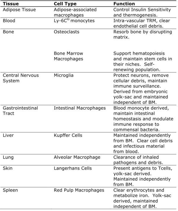 Table 1.2 - Locations and known functions of TRMs. Adopted from  Davies et al.[5] 