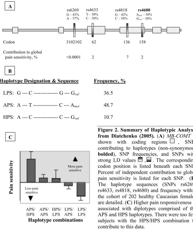 Figure 2. Summary of Haplotypic Analysis 