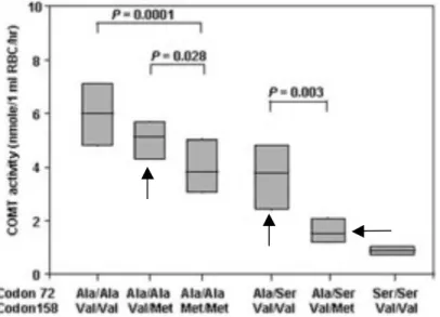 Figure 6. Lee (Lee et al., 2005)  reported  that  red  blood  cell  COMT  activity  is  associated  with  SNPs  rs6267  (codon  72)  and  rs4680  (codon  158)