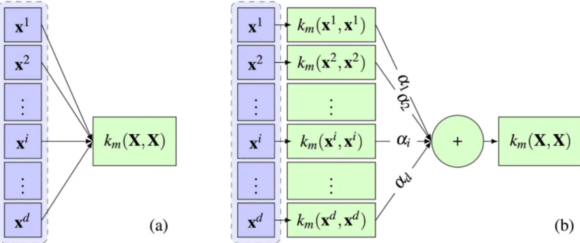 Figure 3. (a) Conventional construction of kernel functions. (b) Kernels learned for each single feature,  aggregated through the weights corresponding to each feature
