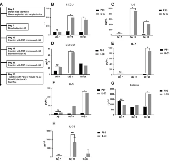 Figure 4.  Endometriotic lesions harvested from PBS (control) and mouse rIL-33 (treated) mice