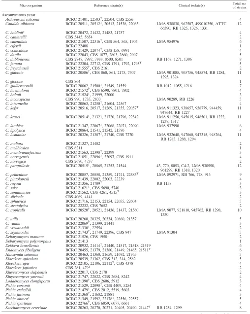 TABLE 2. Yeast species and strains used in this study