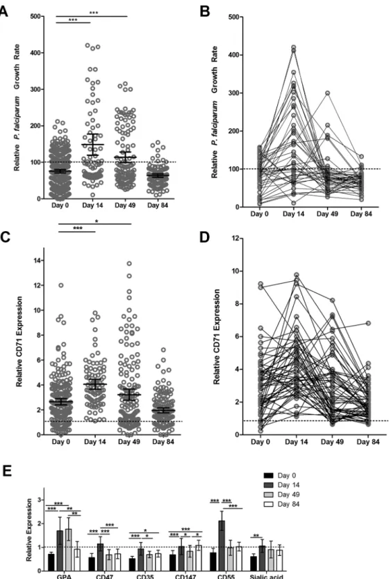 Figure 3.  Malaria susceptibility increases transiently during iron supplementation and pregnant women  receiving iron supplements have increased numbers of young RBCs