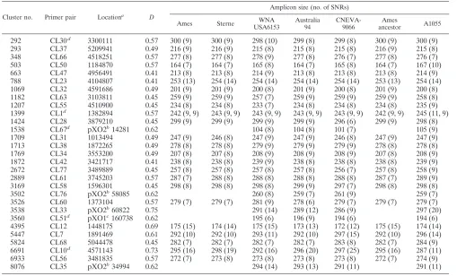TABLE 4. In silico analysis of SNR loci from B. anthracis sequenced genomes